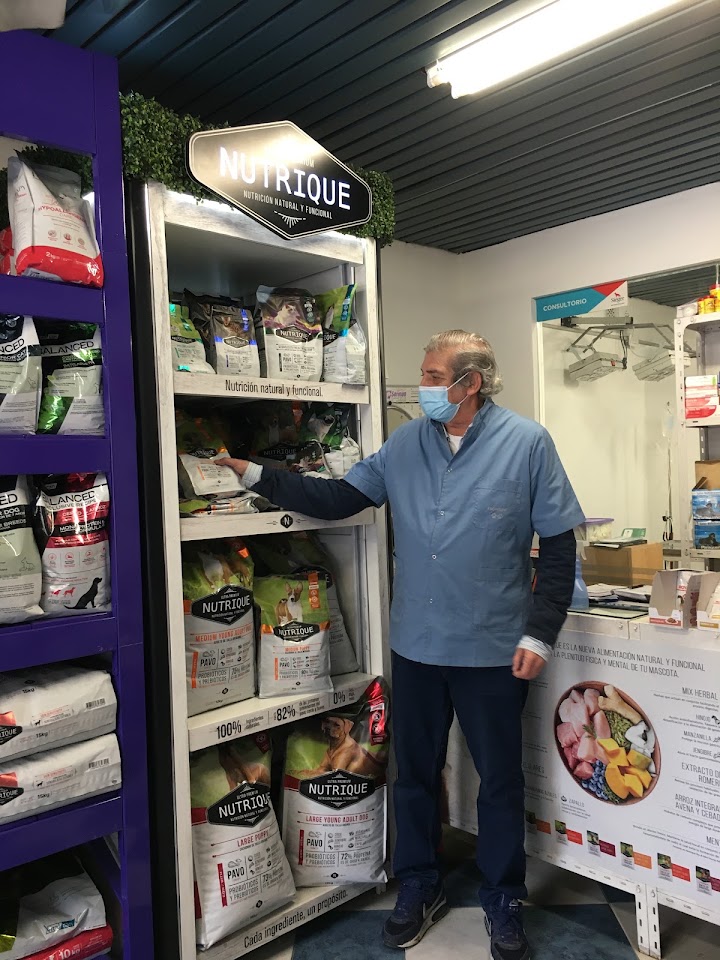Veterinario interactuando con cachorro en consultorio